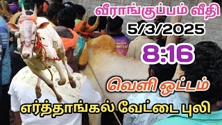 எர்த்தாங்கல் வேட்டை புலி 8:16   வீராங்குப்பம் வீதி #eruthukattu #veerankuppam #erthangalvettaikaali