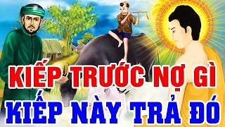 Luật Nhân Quả Không Trừ 1 Ai, KIẾP TRƯỚC NỢ GÌ KIẾP NÀY TRẢ ĐÓ - Gieo Nhân Gặt Quả... Ác Giả Ác Báo