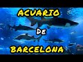 PRIMER paseo con mi FAMILIA al ACUARIO de BARCELONA...