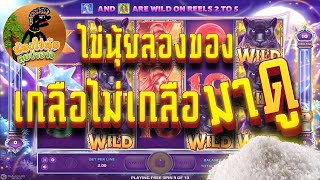 💚ไข่นุ้ยรีวิวการซื้อ Free Spins เกมส์ Wild Fairies 💚 สล็อต Joker 💚 EP.30