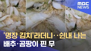 '명장 김치'라더니‥쉰내 나는 배추·곰팡이 핀 무 (2022.02.23/뉴스투데이/MBC)