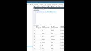 How to SHOW DATATYPE In Columns postgres