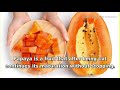 How to grow Papaya in Pots - Complete Growing Guide