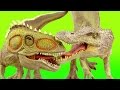 Dinosaur Fight SPINOSAURUS vs GIGANOTOSAURUS Battle Superfunreviews