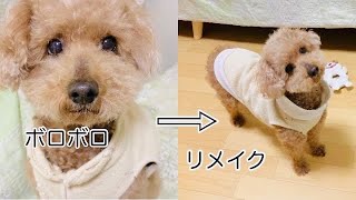 節約手作り。あるもので、リメイク　犬の服のお直し【先住犬トイプードル】【犬服】2021.3.11