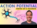 Action Potential - Firing of a Neuron - Depolarization