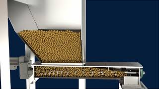 Screw Conveyor vs Screw Feeder
