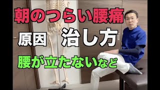 朝の腰痛　原因　治し方【船橋駅徒歩4分の整体院　BEST BODY ONE 船橋】