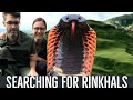 Hunting For Rinkhals Spitting Cobras With Living Zoology!