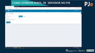 Cadastramento de perfis de servidor