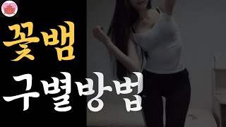 꽃뱀 제비 구별 방법 (호구되지 않는 법)