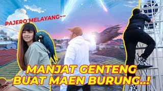 MAEN HYACINTH DI GENTENG BARENG CEWEKK | Ft. jacquelinewijaya