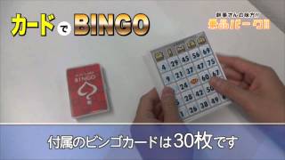 カードでビンゴ（ブリスター）【現物】