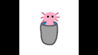 Axolotl in a bucket