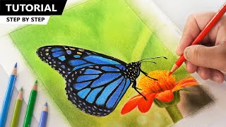 Drawing Colorful Butterfly for BEGINNERS - Step by Step!