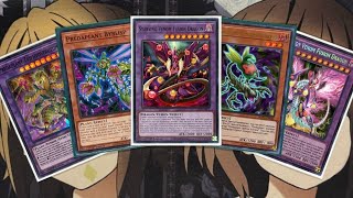 My Predaplant Yugioh Deck Profile for October 2024