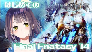 はじめてのFinal Fantasy 14!（メインストーリー・新生エオルゼア） その9