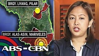 Rep. Binay: Calamba, Bataan properties in dad's SALN