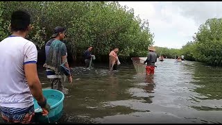 ESA CANTIDAD DE PESCADORES, solo puede significar algo, los peces se dejaban agarrar sin problemas