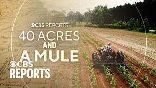 40 Acres and a Mule | CBS Reports