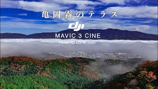 霧の都　京都府亀岡霧のテラス　Mavic3 CINE Apple ProRes422HQ 4K Movie