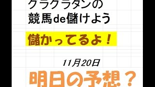 グラグラタンの競馬de儲けよう（簡単競馬予想）　１１月２０日（日）分