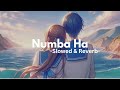 Numba Ha | නුබ හා | Slowed + Reverb | @Rhythmzone_