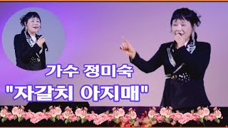 가수정미숙/자갈치 아지매