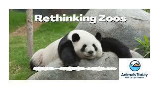 Lets Rethink How Zoos Work! - Animals Today Radio