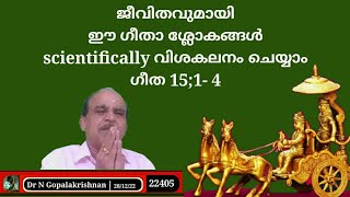 22405 # ജീവിതവുമായി ഈ ഗീതാ ശ്ലോകങ്ങൾ വിശകലനം ചെയ്യാം ഗീതാ 15 : 1- 4 # 28/12/22