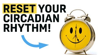 Can You Reset Your Circadian Rhythm?