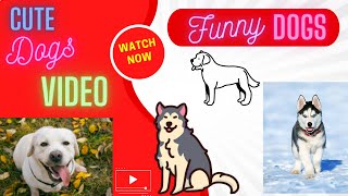 Cute and Funny Dog Videos Compilation | #animals #dogs |Aww Animals | Wild&Pet Animals