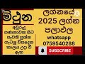 2025 වර්ෂයේ මිථුන ලග්නයේ පලාඵල සමාජයේ කැපී පෙනෙන ධන ලාභ සහිත වර්ෂයක්