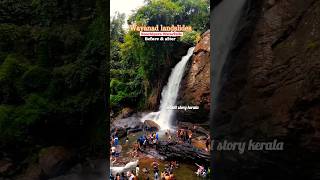 Soochippaara waterfalls before and after Mundakkai landslide 😰😰💔💔💔🥹🥹 Wayanad #trending #shorts