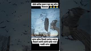 75 टक्के डोळे बारीक करून पाहा दर्शन झाले आसेल तर सबस्क्राइब करा भक्तानो 🌺😍🔱