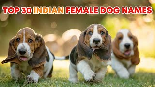 New 30 Female Dog Names 2025 | Top 30 indian Female dog names