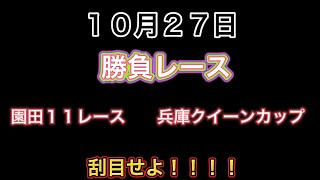 【先出し競馬予想】兵庫クイーンカップで帯狙うぞ！