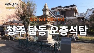 청주 탑동 오층석탑(청주시 탑동) [EP.33-1 추억기행 백투더동네]