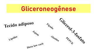 Gliceroneogênese: produção de glicerol-3-fosfato a partir de precursores da gliconeogênese