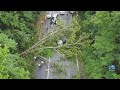 Only On 10: Woman shares story of tree falling on car