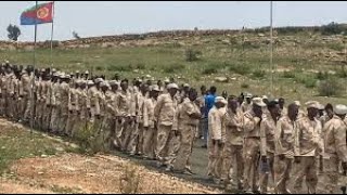 How Eritrean forces are leaving Tigray