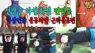 견갑골 하방회전 익상견갑 편평등 근력운동 / 상부승모근 늑간근 전거근 근력운동