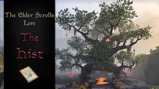 The Hist - The Elder Scrolls Lore