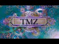 TMZ- patek Philippe