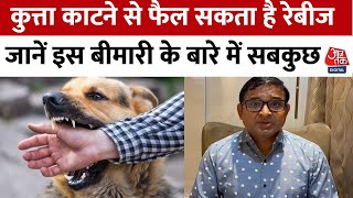Dog काटने से फैल सकता है Rabies, Felix Hospital के चेयरमैन Dr DK Gupta ने कहा-रेबिज का कोई इलाज नहीं
