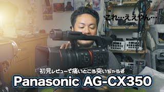 【業務デジ】Panasonic AG-CX350 初見吟味 :034