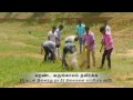 efi s pond restoration in tirunelveli