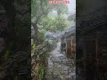 Rainy day l Heavy rain in village l Barish #viral #nature #shorts