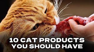Top 10 Cat Products Every Cat Owner Should Have