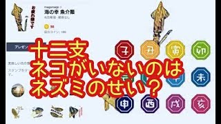 ケンサキイカ と キンメダイ の ほのぼの雑学23「十二支」